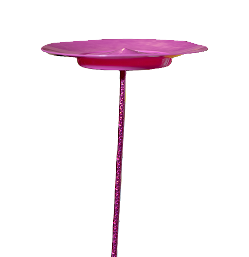 Workshop Performance