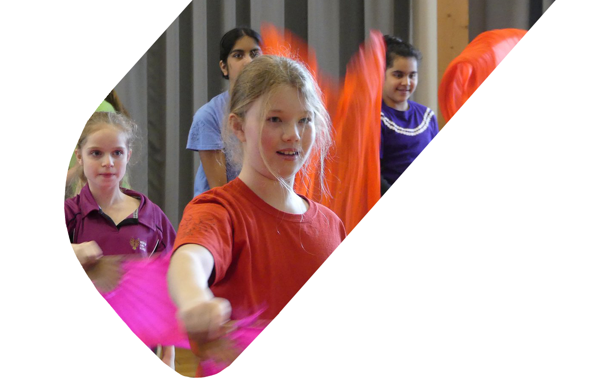 Primary Workshops for Schools