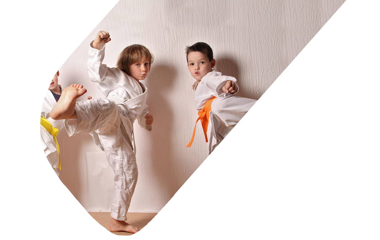 Primary Workshops for Schools