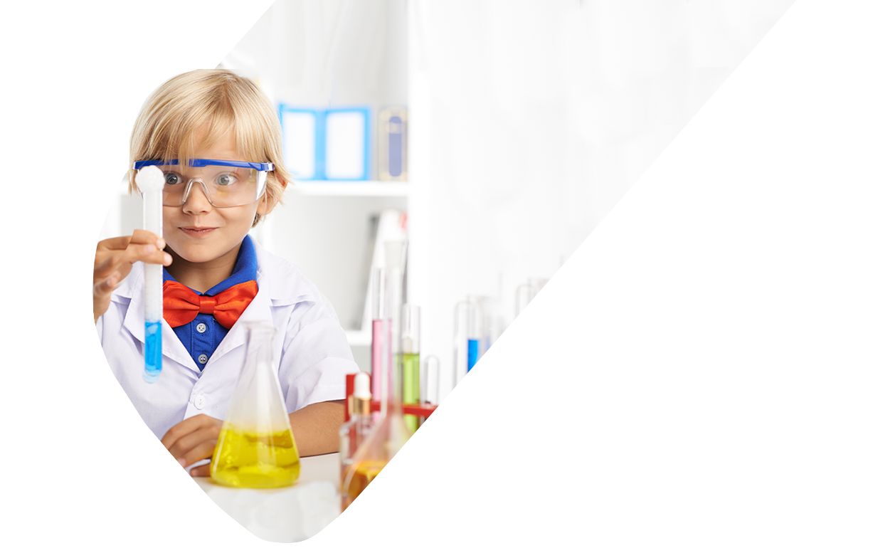 Primary Workshops for Schools