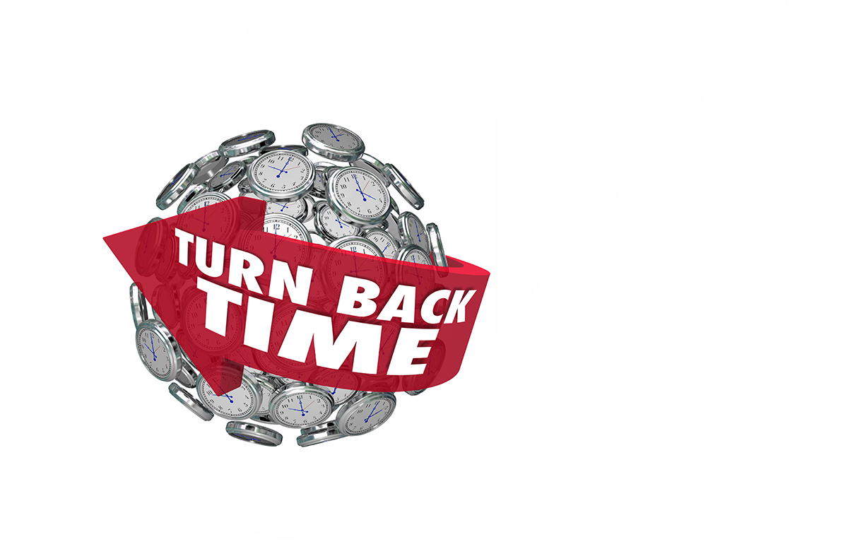 Primary Workshops for Schools