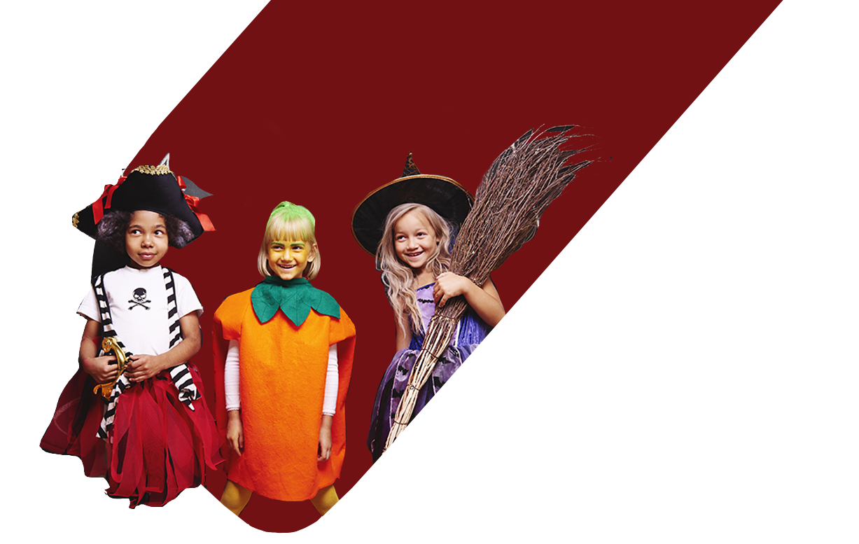 Primary Workshops for Schools