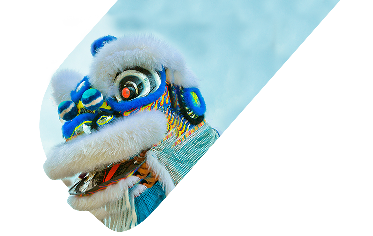 Primary Workshops for Schools