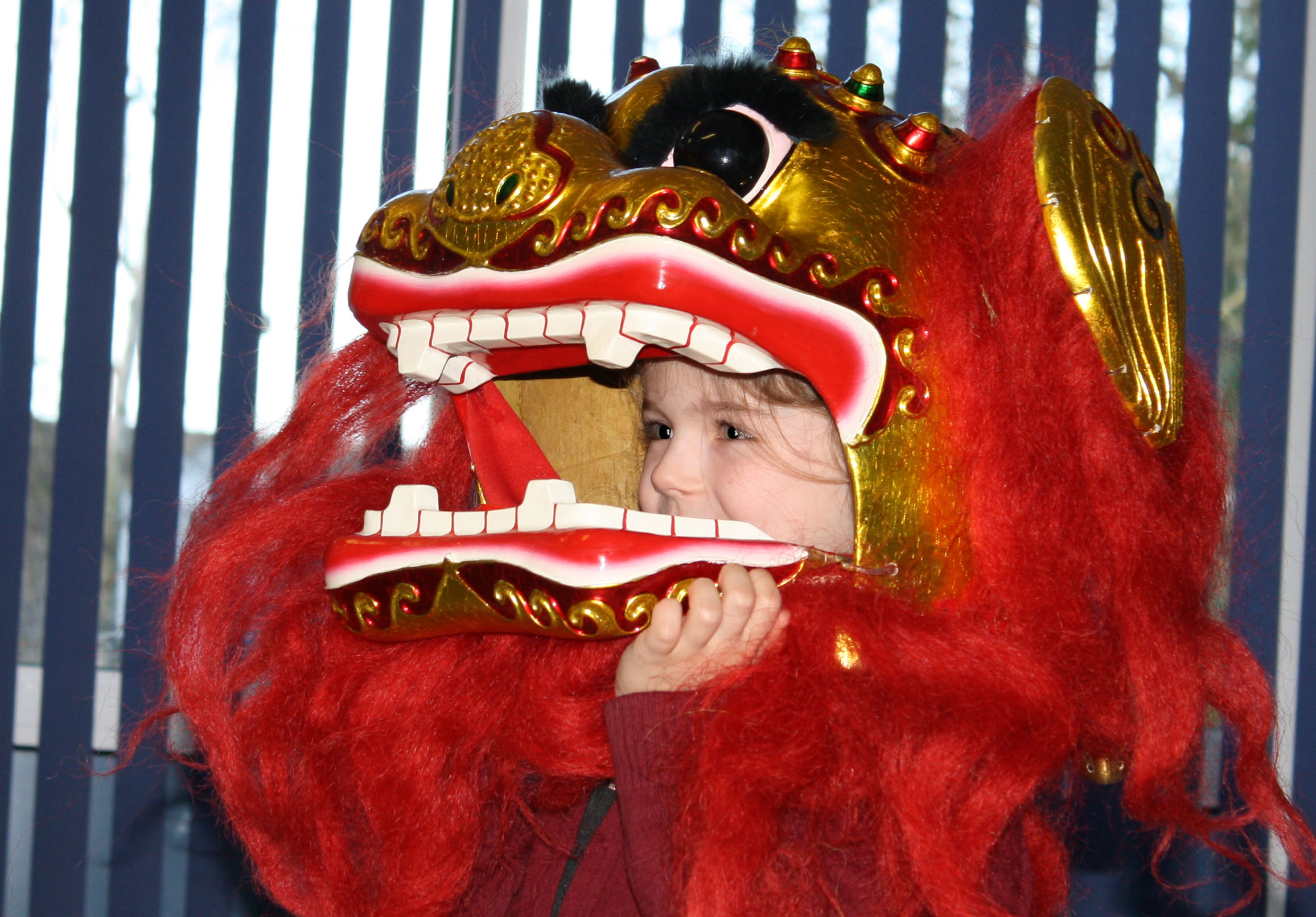 School children with red lion dance costume on