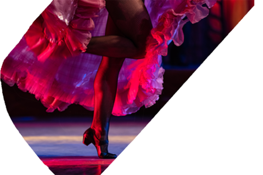 Primary Workshops for Schools