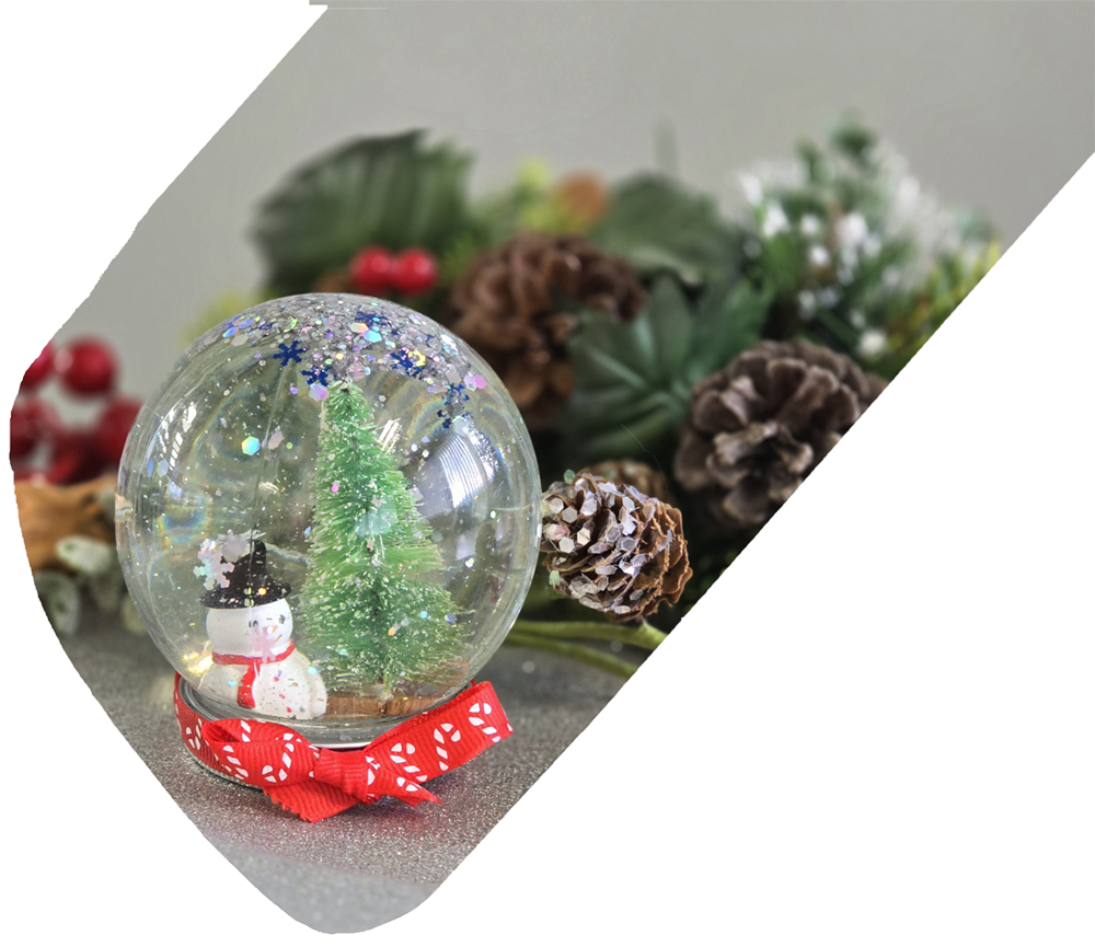 Primary Workshops for Schools