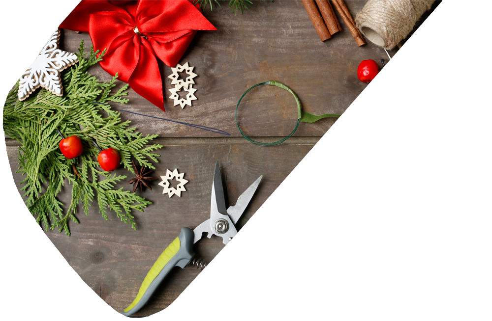 Primary Workshops for Schools